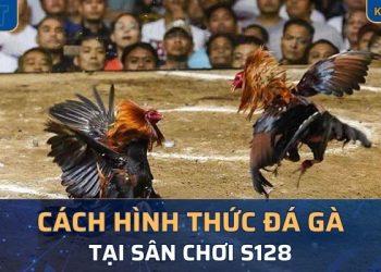 Một số hình thức đấu gà có tại sân S128