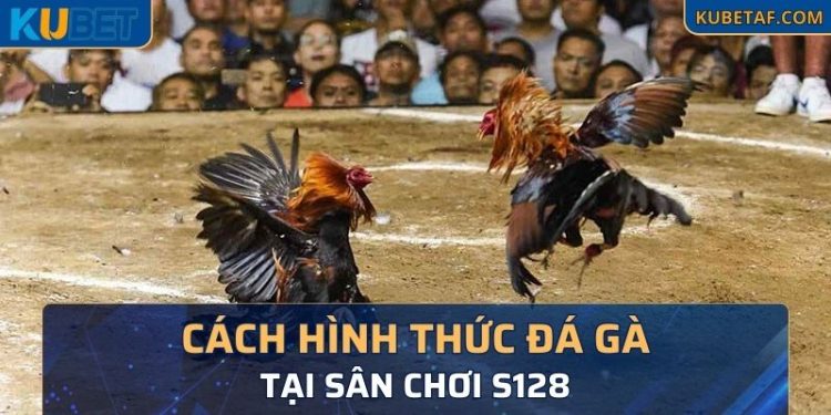 Một số hình thức đấu gà có tại sân S128